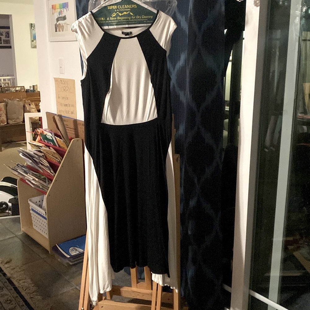 Ann Taylor 10 Petite black & white colorblock swing dress